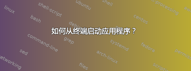 如何从终端启动应用程序？