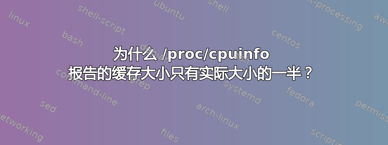 为什么 /proc/cpuinfo 报告的缓存大小只有实际大小的一半？