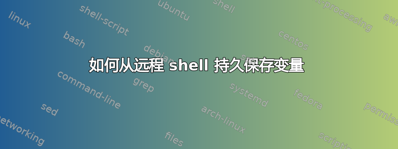 如何从远程 shell 持久保存变量