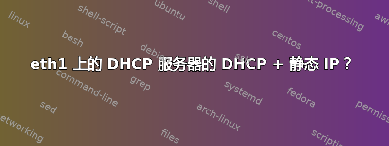 eth1 上的 DHCP 服务器的 DHCP + 静态 IP？