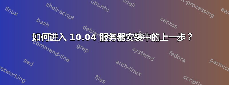 如何进入 10.04 服务器安装中的上一步？