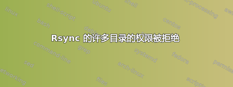 Rsync 的许多目录的权限被拒绝