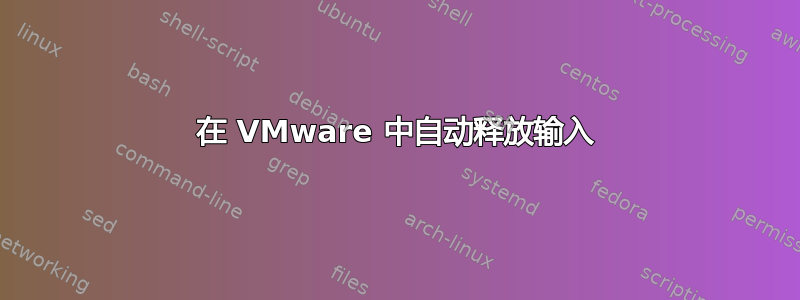 在 VMware 中自动释放输入