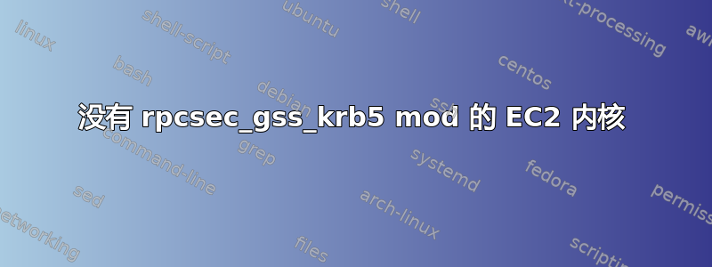 没有 rpcsec_gss_krb5 mod 的 EC2 内核