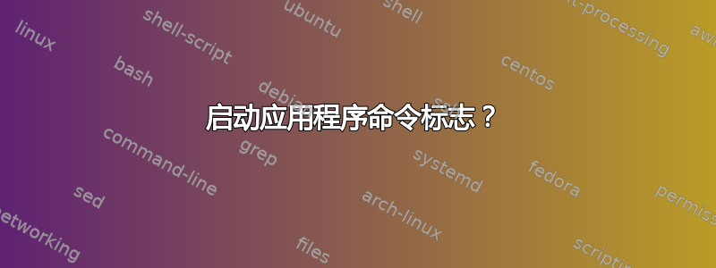 启动应用程序命令标志？