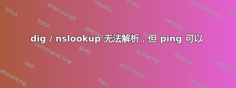 dig / nslookup 无法解析，但 ping 可以