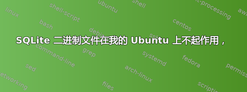 SQLite 二进制文件在我的 Ubuntu 上不起作用，