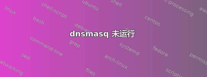 dnsmasq 未运行