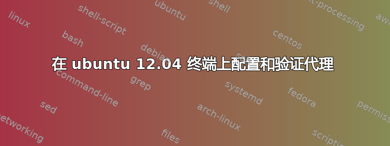 在 ubuntu 12.04 终端上配置和验证代理