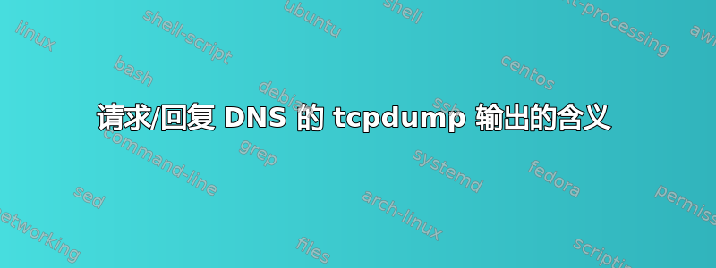 请求/回复 DNS 的 tcpdump 输出的含义