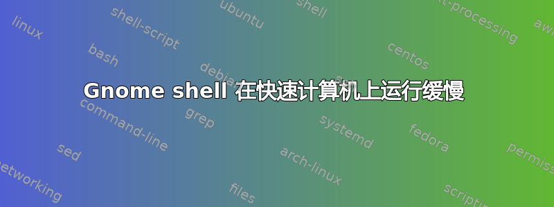 Gnome shell 在快速计算机上运行缓慢