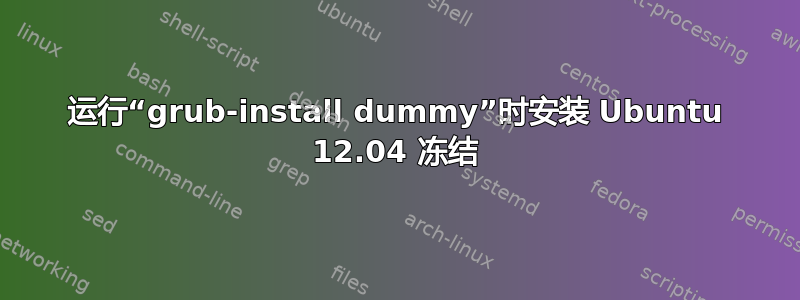 运行“grub-install dummy”时安装 Ubuntu 12.04 冻结