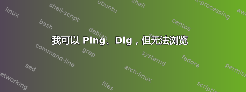 我可以 Ping、Dig，但无法浏览 