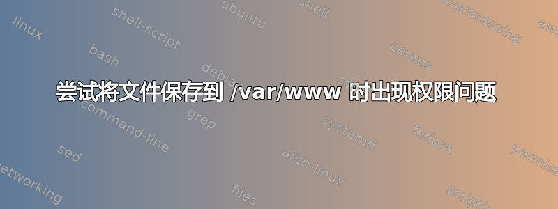 尝试将文件保存到 /var/www 时出现权限问题