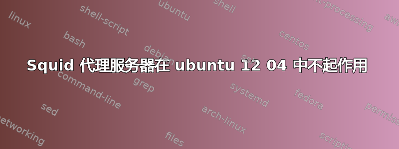 Squid 代理服务器在 ubuntu 12 04 中不起作用