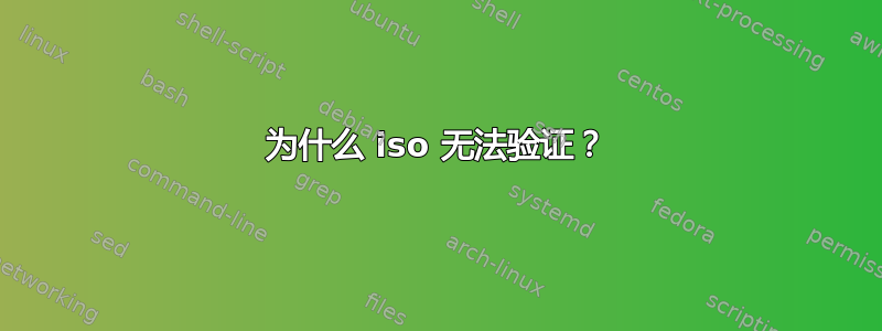 为什么 iso 无法验证？