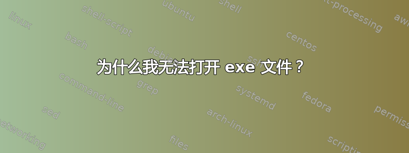 为什么我无法打开 exe 文件？