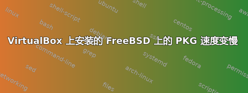 VirtualBox 上安装的 FreeBSD 上的 PKG 速度变慢