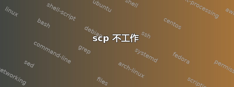 scp 不工作