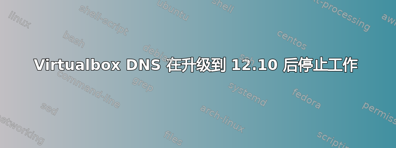 Virtualbox DNS 在升级到 12.10 后停止工作