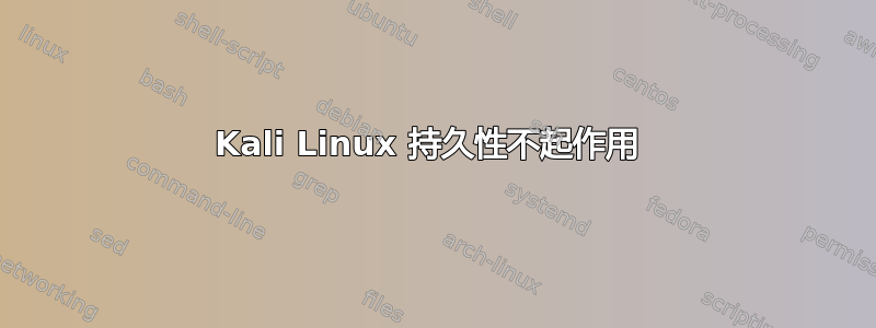 Kali Linux 持久性不起作用 