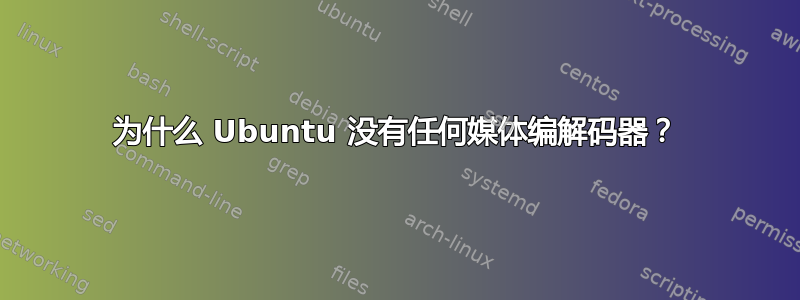 为什么 Ubuntu 没有任何媒体编解码器？