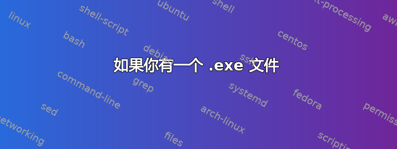 如果你有一个 .exe 文件