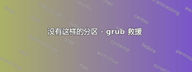 没有这样的分区 - grub 救援