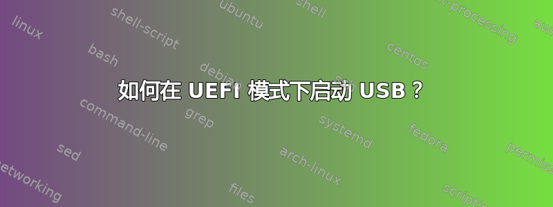 如何在 UEFI 模式下启动 USB？