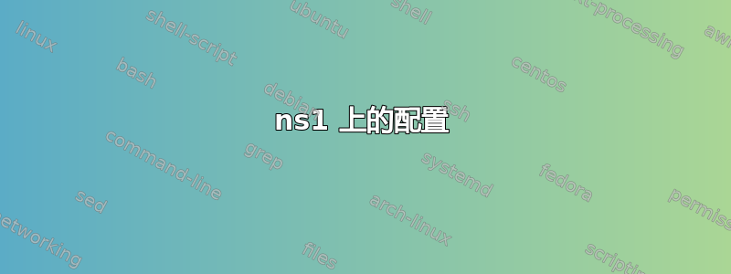 ns1 上的配置