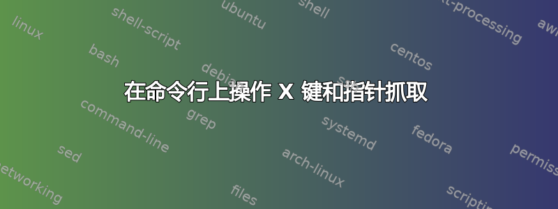 在命令行上操作 X 键和指针抓取