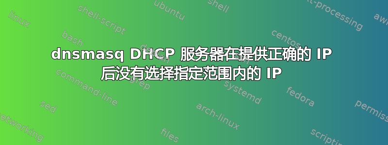 dnsmasq DHCP 服务器在提供正确的 IP 后没有选择指定范围内的 IP