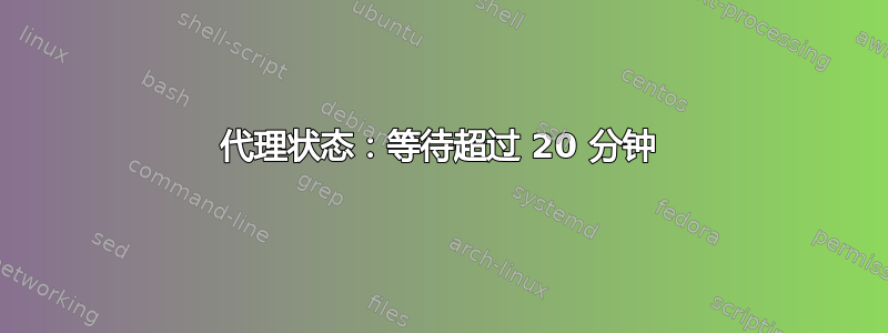 代理状态：等待超过 20 分钟