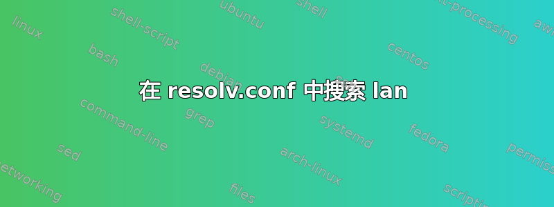 在 resolv.conf 中搜索 lan