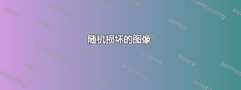 随机损坏的图像