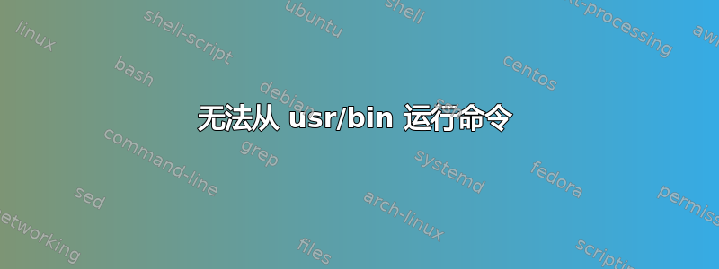 无法从 usr/bin 运行命令