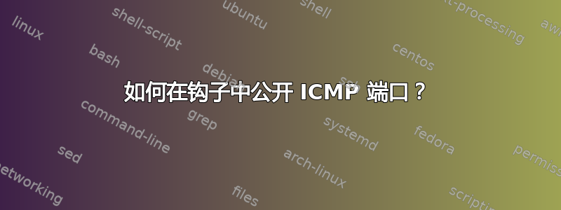 如何在钩子中公开 ICMP 端口？