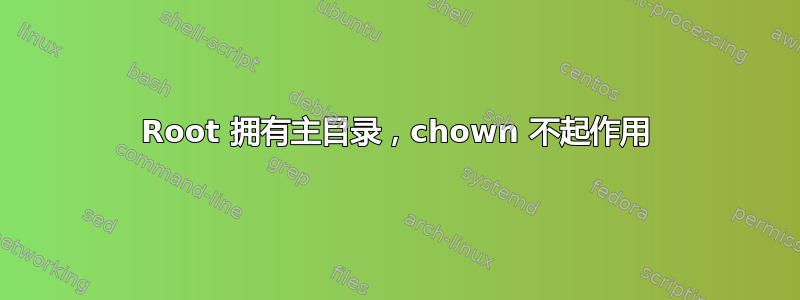 Root 拥有主目录，chown 不起作用