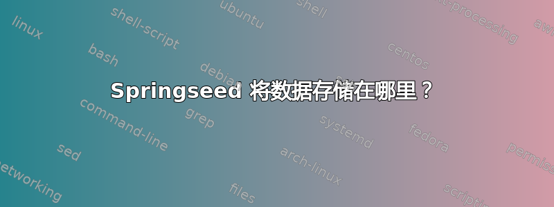 Springseed 将数据存储在哪里？