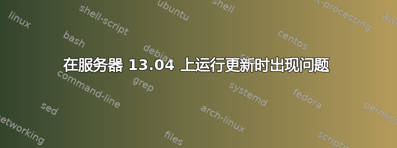 在服务器 13.04 上运行更新时出现问题