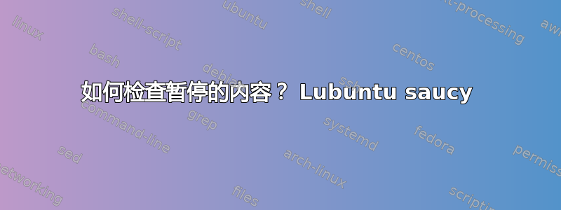 如何检查暂停的内容？ Lubuntu saucy