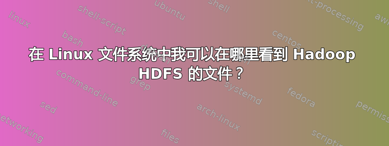 在 Linux 文件系统中我可以在哪里看到 Hadoop HDFS 的文件？