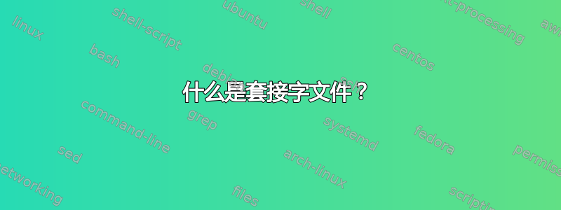 什么是套接字文件？