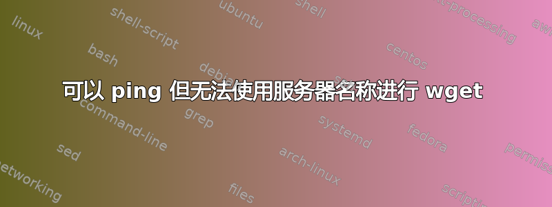 可以 ping 但无法使用服务器名称进行 wget