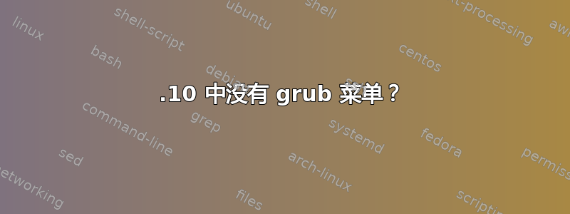 13.10 中没有 grub 菜单？