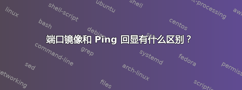 端口镜像和 Ping 回显有什么区别？