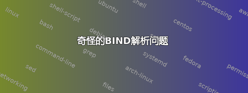 奇怪的BIND解析问题