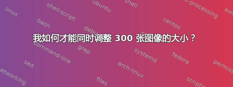 我如何才能同时调整 300 张图像的大小？