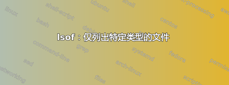 lsof：仅列出特定类型的文件