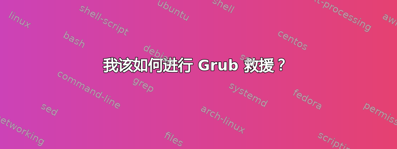 我该如何进行 Grub 救援？